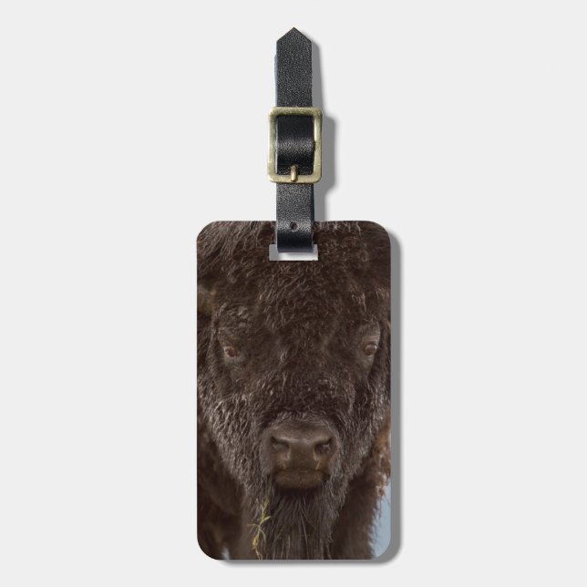 Étiquette À Bagage Portrait d'un bison mâle sous la pluie (Devant Vertical)