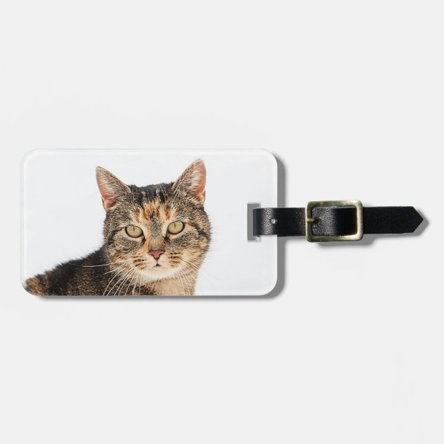 Étiquette À Bagage Portrait d'un chat (Devant horizontal)