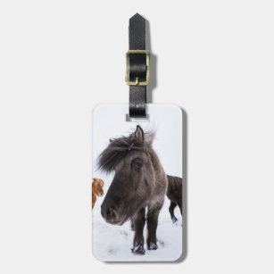 Étiquette À Bagage Portrait islandais de cheval, Islande