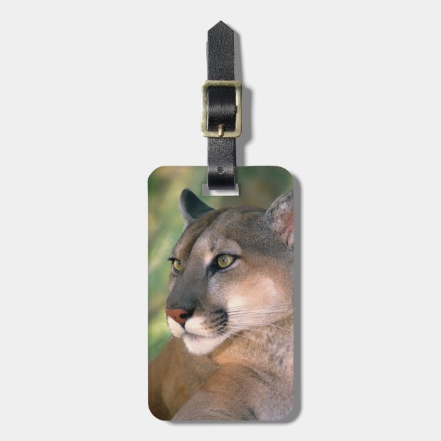 Étiquette À Bagage Puma, Californie (Devant Vertical)