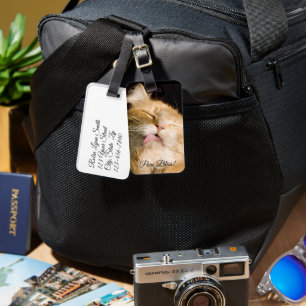 Étiquette À Bagage Pure Bliss   Maine Coon Modèle photo de gros plan