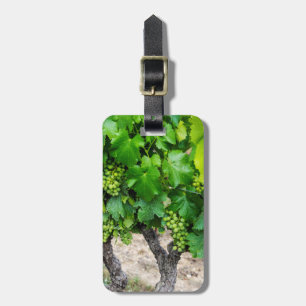 Étiquette À Bagage Raisin de cuve, France