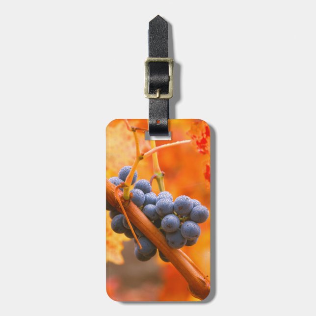 Étiquette À Bagage Raisin de vigne dans le vignoble (Devant Vertical)