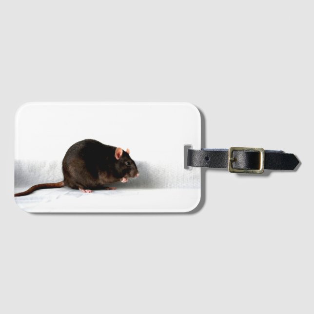 Étiquette À Bagage Rat bc ltcna (Devant Horizontal)