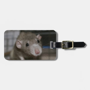 Étiquette À Bagage Rat curieux