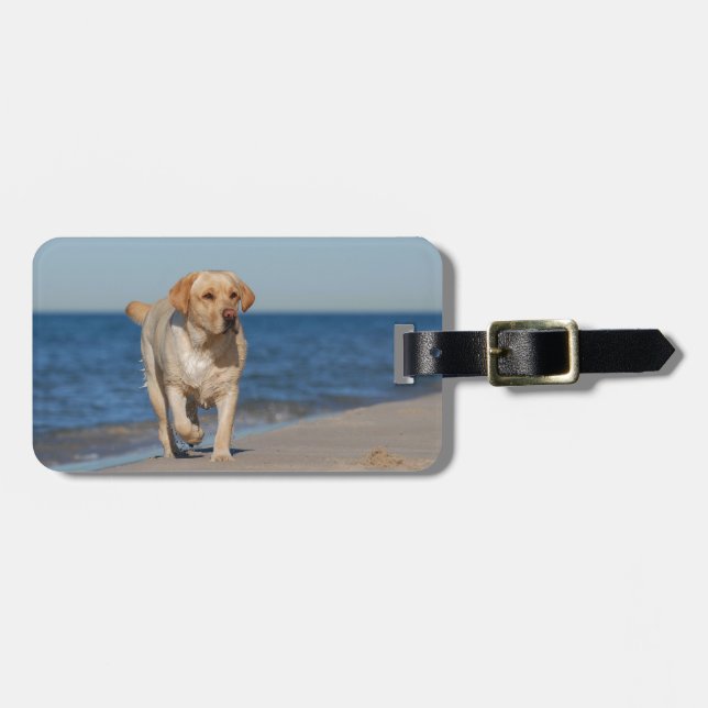 Étiquette À Bagage Récupérateur de labrador jaune sur la plage (Devant horizontal)