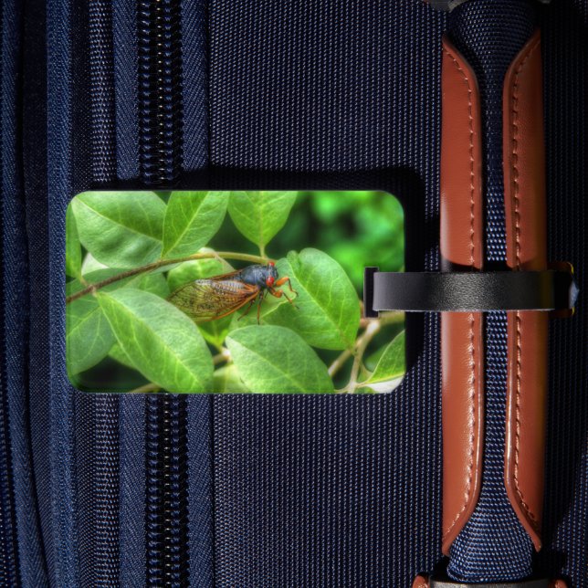 Étiquette À Bagage Red Eyed Cicada (Verso Insitu 2)