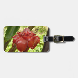 Étiquette À Bagage Red Torch Ginger Tropical Flower Photographie