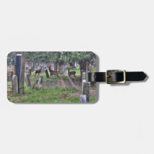 Étiquette À Bagage Rehe Am Zentralfriedhof