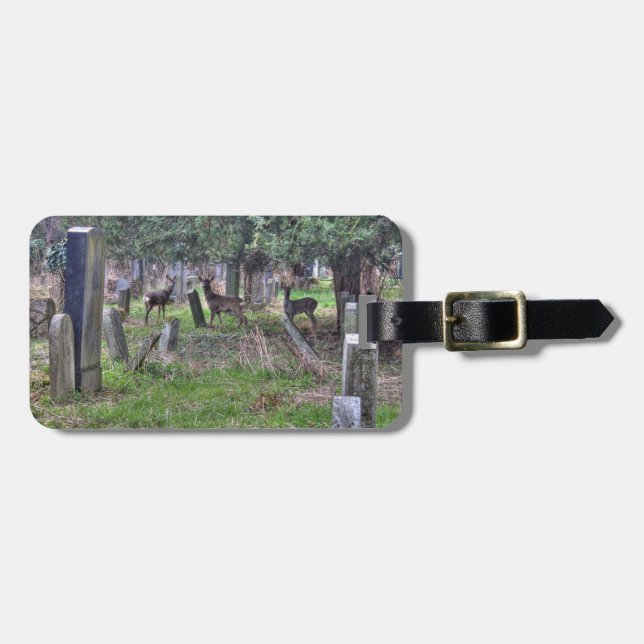 Étiquette À Bagage Rehe Am Zentralfriedhof (Devant horizontal)