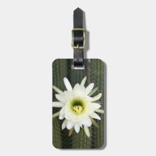 Étiquette À Bagage Reine de la Fleur de Cactus de Nuit, Région du Kar