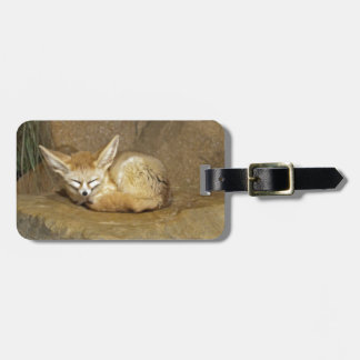 Étiquette À Bagage renard de fennec