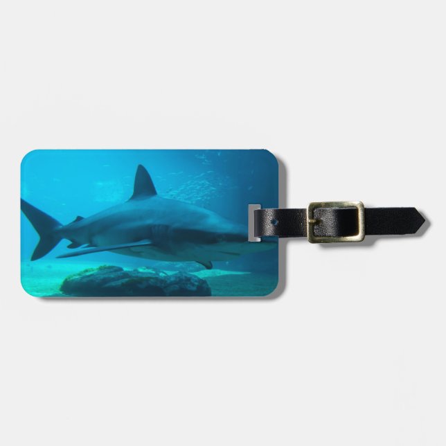 Étiquette À Bagage Requin de nuit (Carcharhinus Obscurus), Ushaka (Devant horizontal)