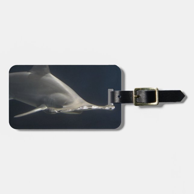 Étiquette À Bagage Requin de poisson-marteau (Devant horizontal)