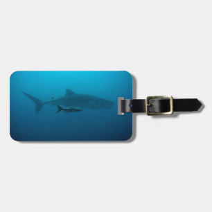 Étiquette À Bagage Requins Poisson Océan Eau Tropical Plage Paix Amou