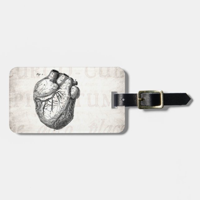 Étiquette À Bagage Rétros coeurs cardiaques d'anatomie de coeur (Devant horizontal)