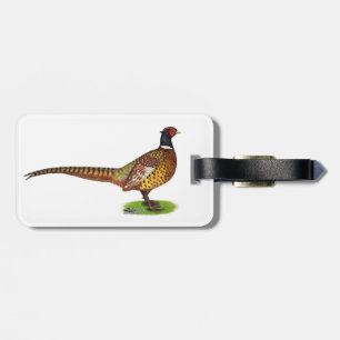Étiquette À Bagage Ringneck Pheasant Rooster