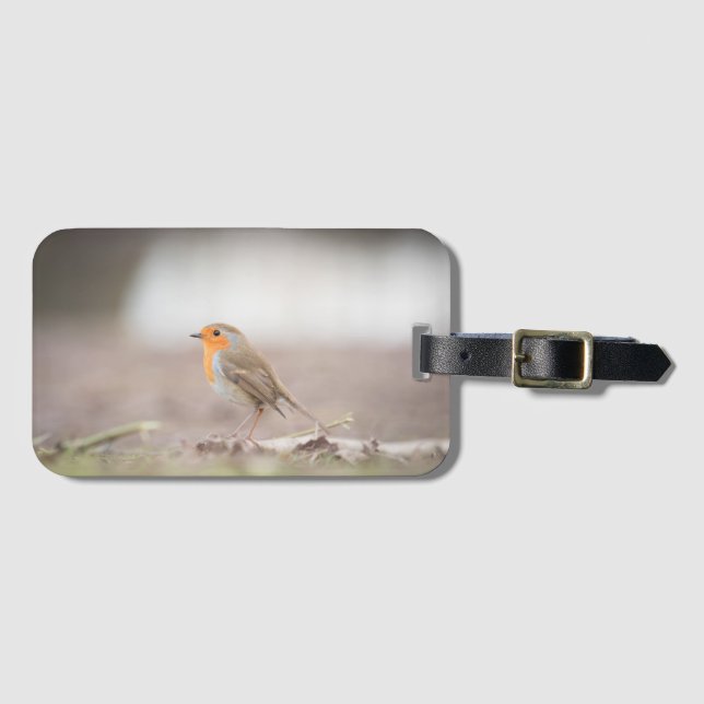 Étiquette À Bagage Robin Bird Nature Photo (Devant Horizontal)