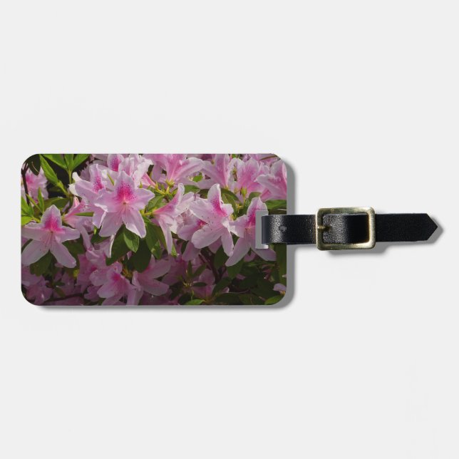 Étiquette À Bagage Rose Azalea Bush printemps floral (Devant horizontal)
