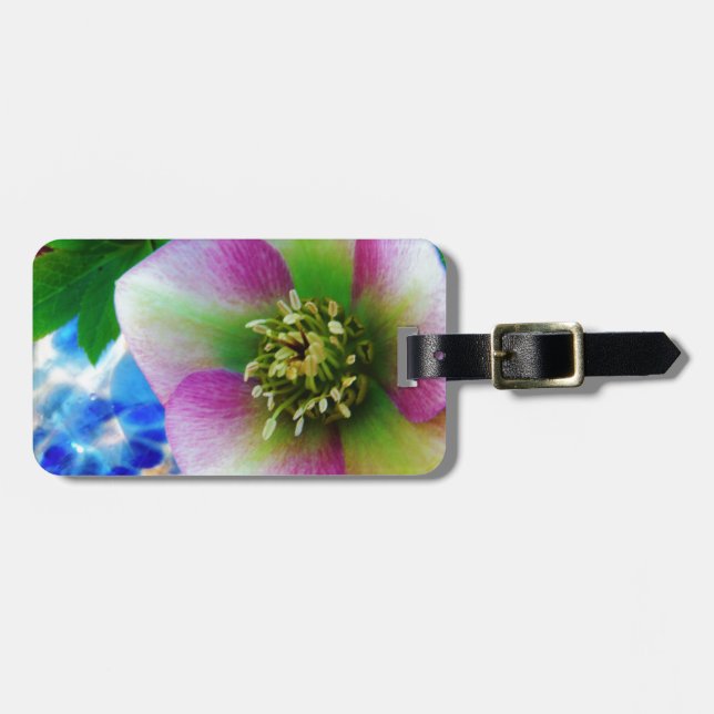 Étiquette À Bagage Rose rose carême bleu boule de verre (Devant horizontal)