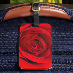Étiquette À Bagage Rose rouge romantique en pleine floraison
