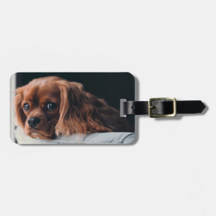 Étiquette À Bagage Ruby Cavalier King Charles Spaniel