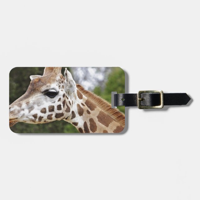 Étiquette À Bagage Safari Afrique Mod Chic Classy Destiny Giraffe (Devant horizontal)