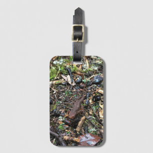 Étiquette À Bagage Salamandre dans la forêt, Washington