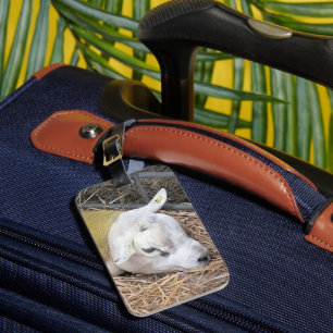 ÉTIQUETTE À BAGAGE SHEEP
