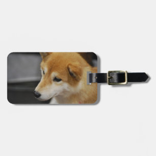 Étiquette À Bagage shiba-inu-2.jpg