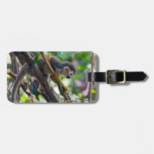 Étiquette À Bagage Singe écureuil à Manuel Antonio NP - Costa Rica