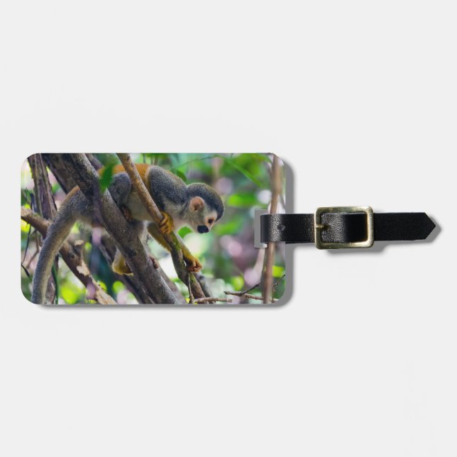 Étiquette À Bagage Singe écureuil à Manuel Antonio NP - Costa Rica (Devant horizontal)