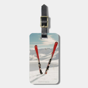 Étiquette À Bagage Skis rouges