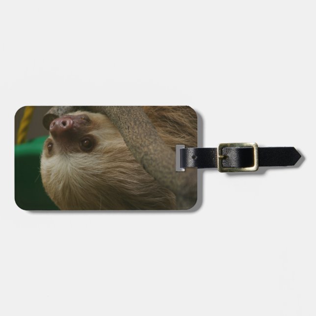 Étiquette À Bagage Sloth (Devant horizontal)