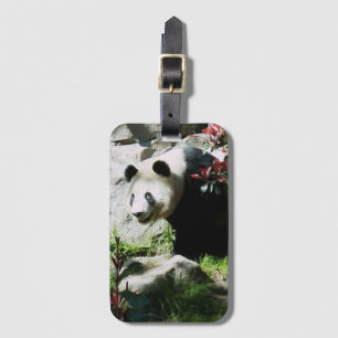 Étiquette À Bagage Sourire de Panda