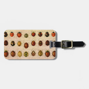 Étiquette À Bagage Spécimen de coccinelle vintage Motif Insecte antiq
