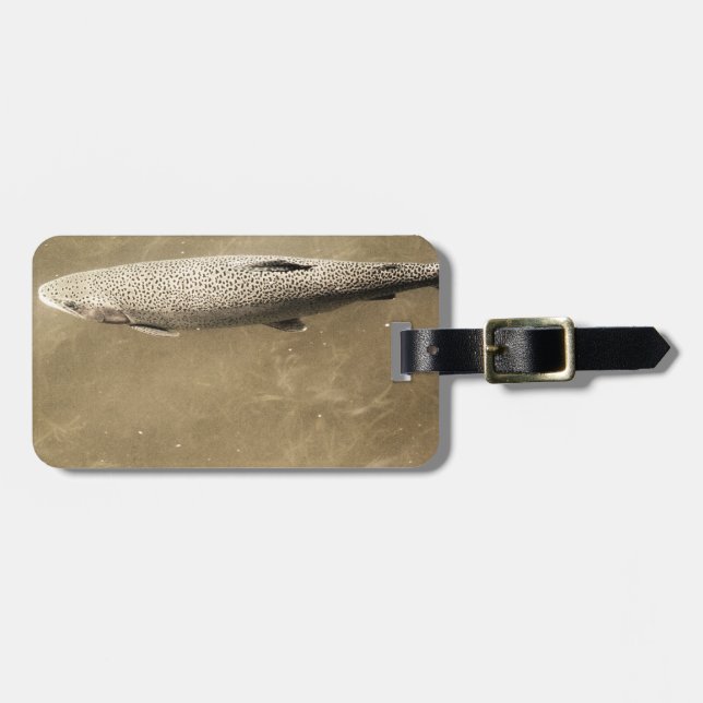 Étiquette À Bagage Speckles (Devant horizontal)