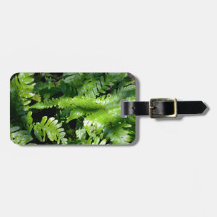 Étiquette À Bagage Spring Green Ferns végétation botanique tropicale