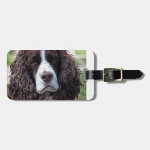 Étiquette À Bagage springer anglais spaniel.png
