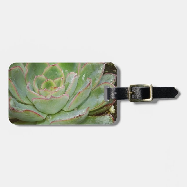 Étiquette À Bagage Succulent, poules et poulets (Devant horizontal)