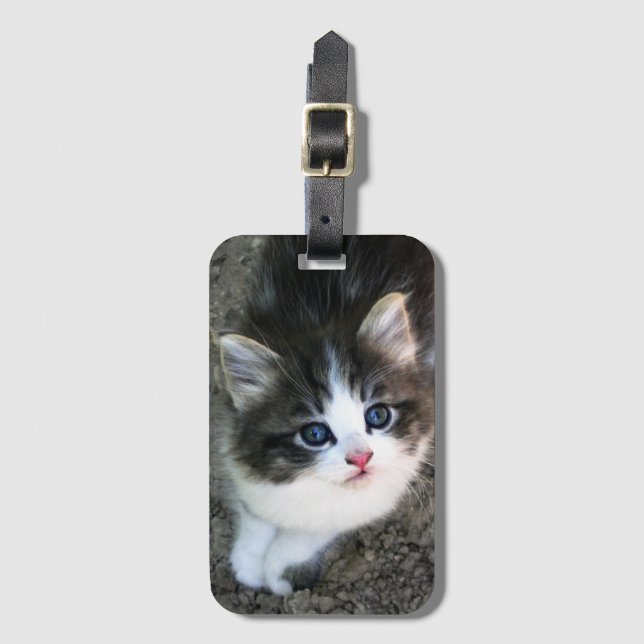 Étiquette À Bagage SUPER CUTE Kitten Portrait (Devant Vertical)