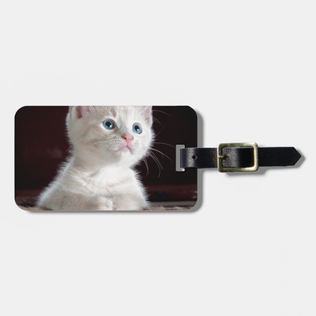 Étiquette À Bagage Super mignon Kitten blanc (Devant horizontal)