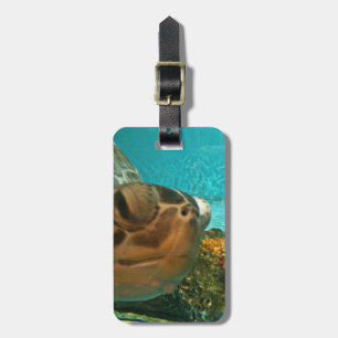 Étiquette À Bagage Surprise de tortue de mer