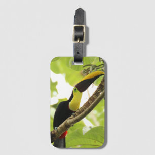 Étiquette À Bagage Swainson Toucan Oiseau exotique