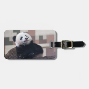 Étiquette À Bagage Sweet Giant Panda Baby