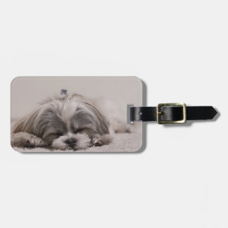 Étiquette À Bagage Tag, Chien qui dort