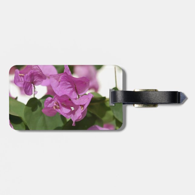 Étiquette À Bagage Tag de sac Bougainvillea (Dos horizontal)