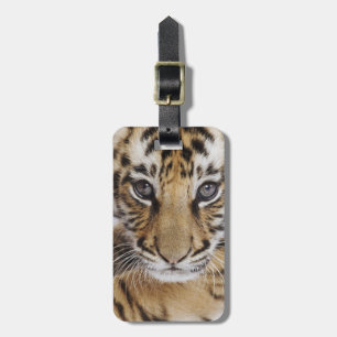 Étiquette À Bagage Tiger