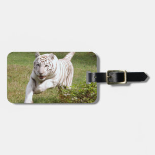 Étiquette À Bagage Tigre blanc 3825e