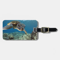 Tortue de mer verte hawaïenne